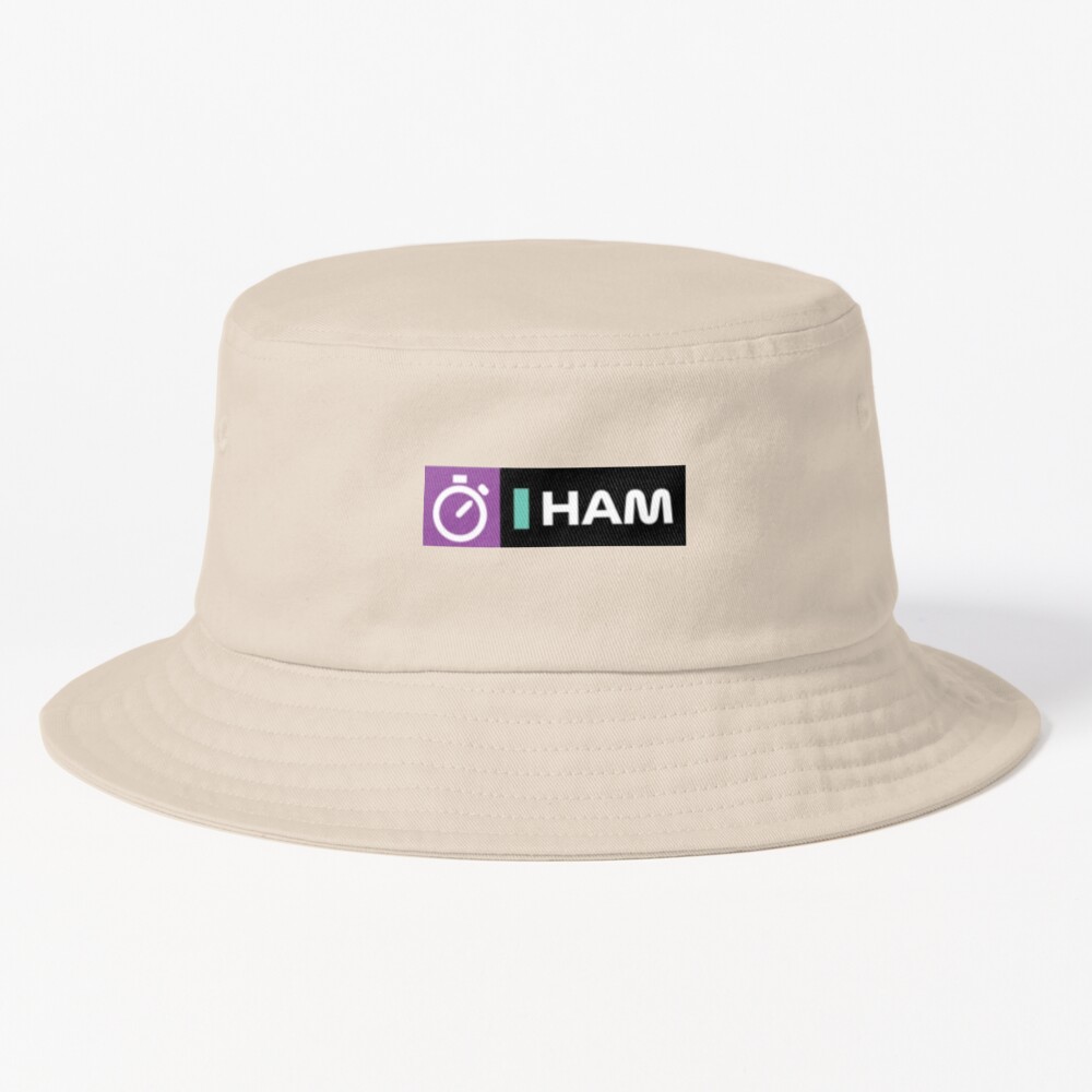ssrcobucket hatproducte5d6c5f62bbf65eesrpsquare1000x1000 bgf8f8f8.u2 13 - Lewis Hamilton Store